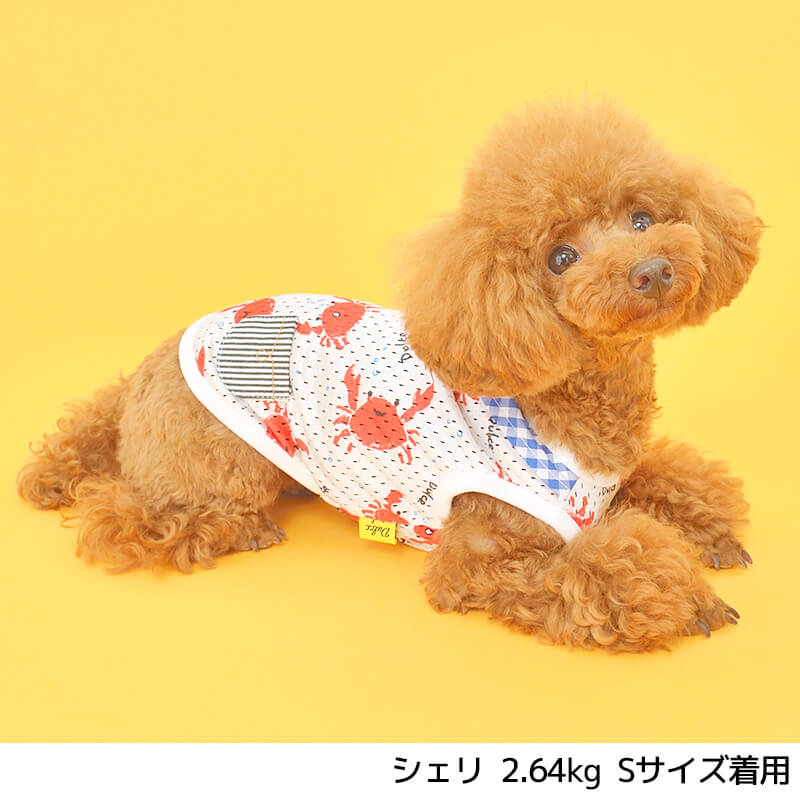 楽天市場】カニメッシュタンク S/M/L/XL Dulce-ドゥルチェ- 犬服