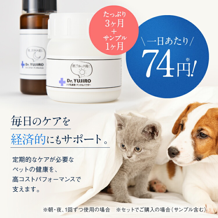 楽天市場】【3本セット】わんこの歯医者さん開発！ Dr.YUJIRO デンタル