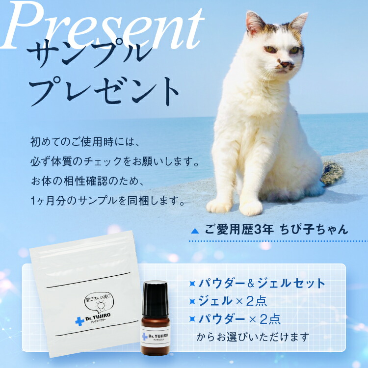 楽天市場】【ドクター裕次郎 公式】 犬 猫 歯科専門の獣医師が開発