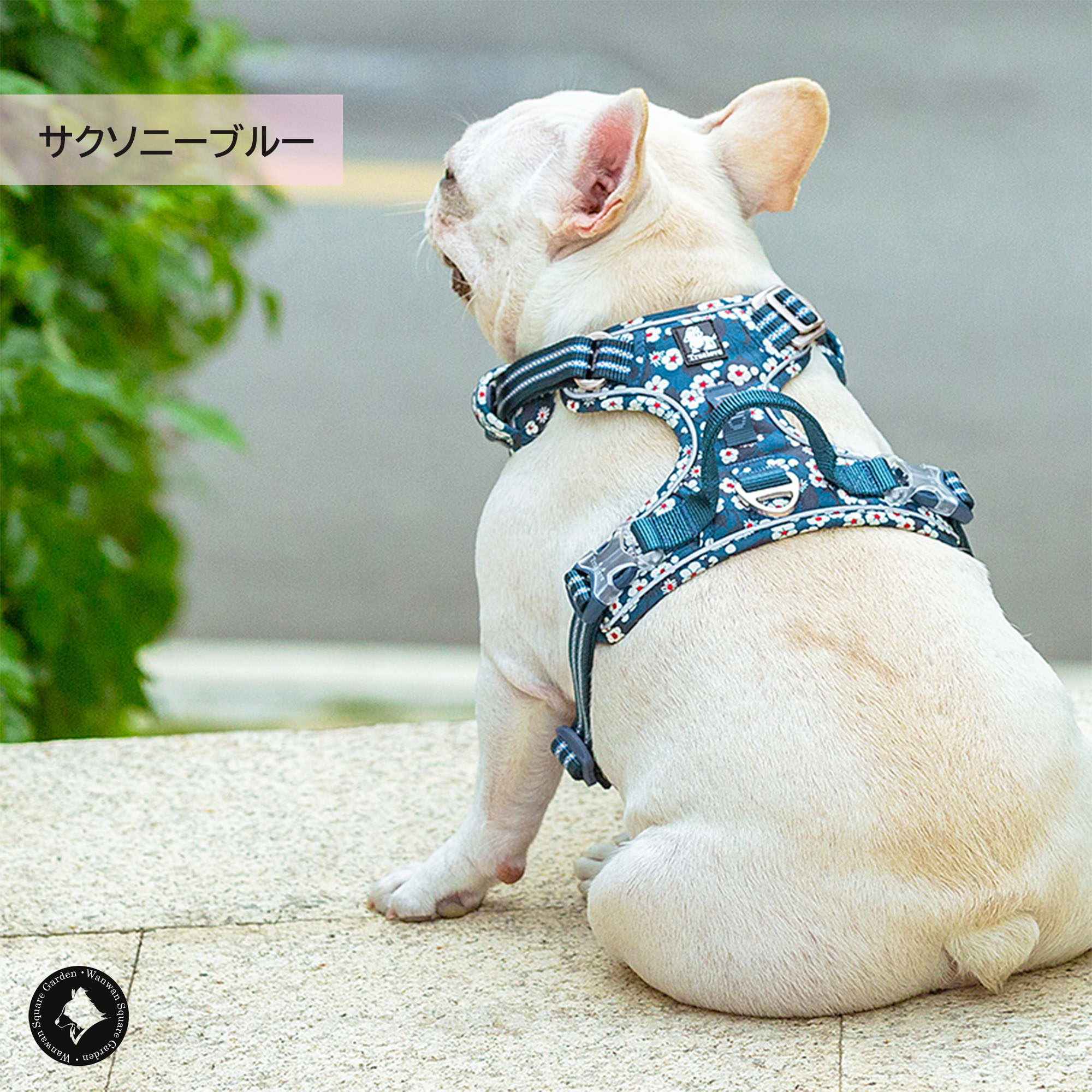 楽天市場】犬 ハーネス コットン 綿 和柄 花柄 Truelove ブランド 簡単