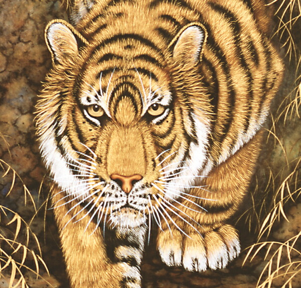 楽天市場】掛け軸 掛軸（かけじく）猛虎（高松 邦夫）[太巻二重箱収納