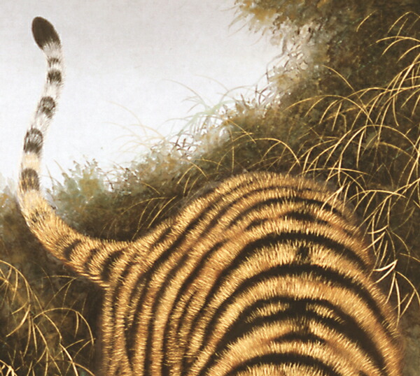 楽天市場】掛け軸 掛軸（かけじく）猛虎（高松 邦夫）[太巻二重箱収納