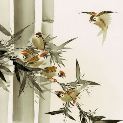 掛軸 田村白玄 竹に雀 共箱 小禽 5-28 掛軸 田村白玄 竹に雀 共箱 小禽