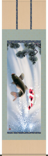 楽天市場】掛け軸 掛軸（かけじく）販売夫婦昇鯉（森山 観月）夫婦鯉
