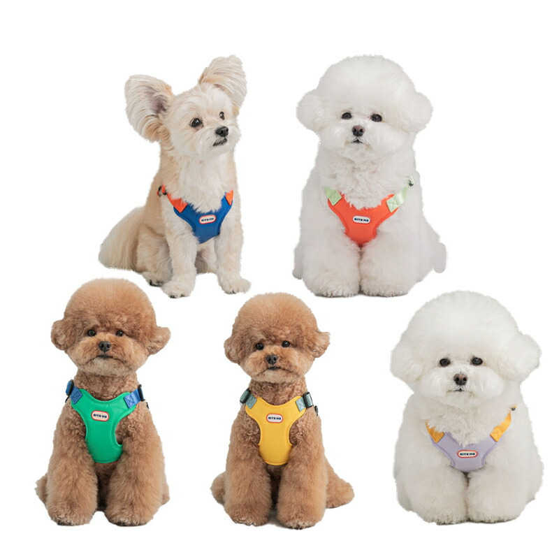 レア Jimmy Choo ドッグハーネス ジミーチュウ 犬用 ハーネス S