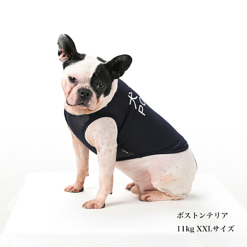 楽天市場】＼クーポンで最大500円OFF／犬 服 タンクトップ 春 夏