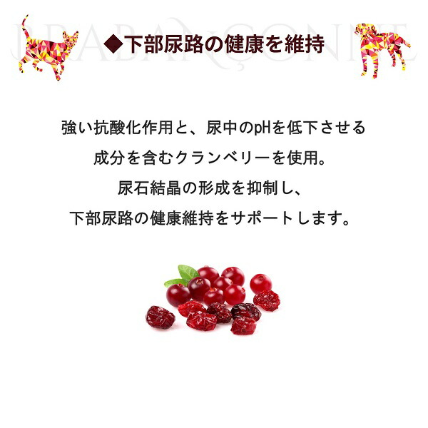 楽天市場】ブラバンソンヌ 大型犬 中型犬 成犬用 グレインフリー