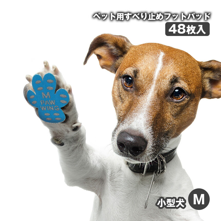 ◯◯様用】実物お写真 ペット 滑止 肉球 足裏 犬 (36cm 単位売)