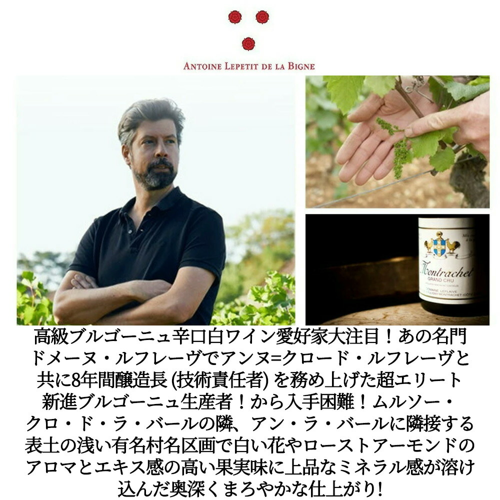 楽天市場】ムルソー レ ペルショ 2023 年 アントワーヌ ルプティ ド ラ