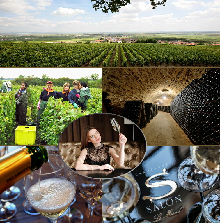 楽天市場】箱付き サロン ブリュット ブラン ド ブラン 2013CHAMPAGNE