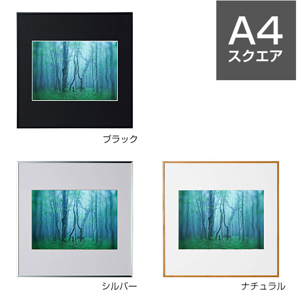 写真用額縁  DNP ギャラリーⅡ A4 ブラック　5枚セット1 写真用額縁 DNP ギャラリーⅡ A4 ブラック 5枚セット1 写真用額縁 DNP