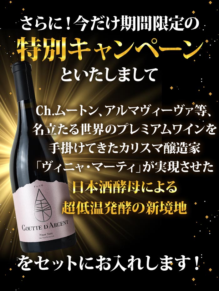 楽天市場】ワインセット 赤ワイン 送料無料 当店ソムリエが選んだ