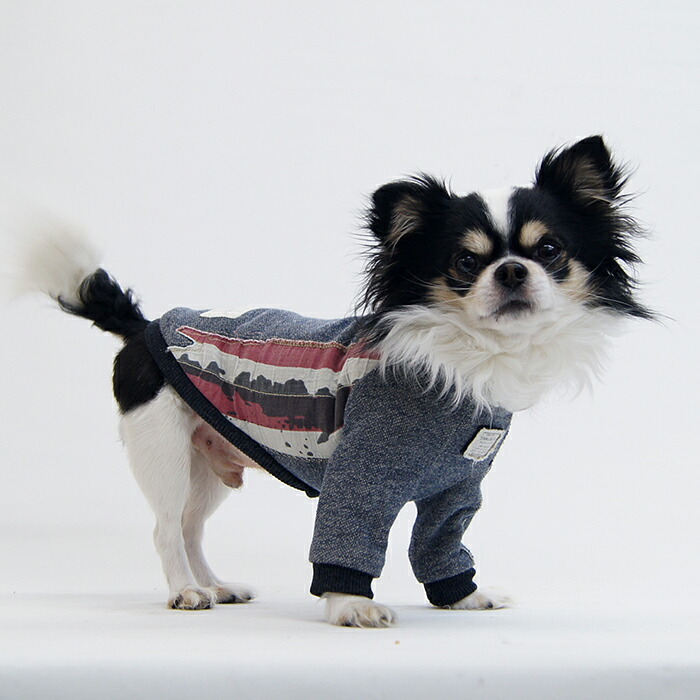 楽天市場】熟練犬服工房ラグランスリーブTシャツ・ミニピン5サイズ型紙