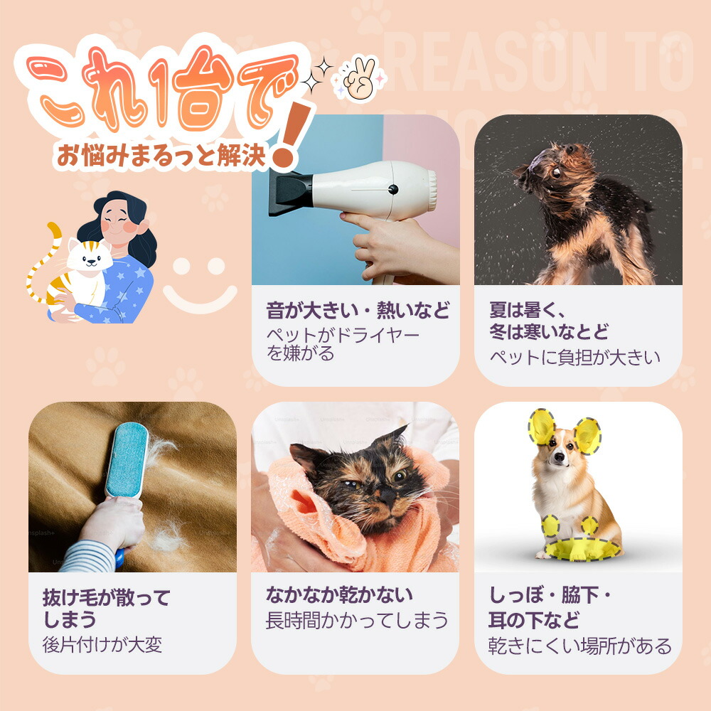 楽天市場】限定50枚☆8％クーポン！【終了後自動あけドア】ペット