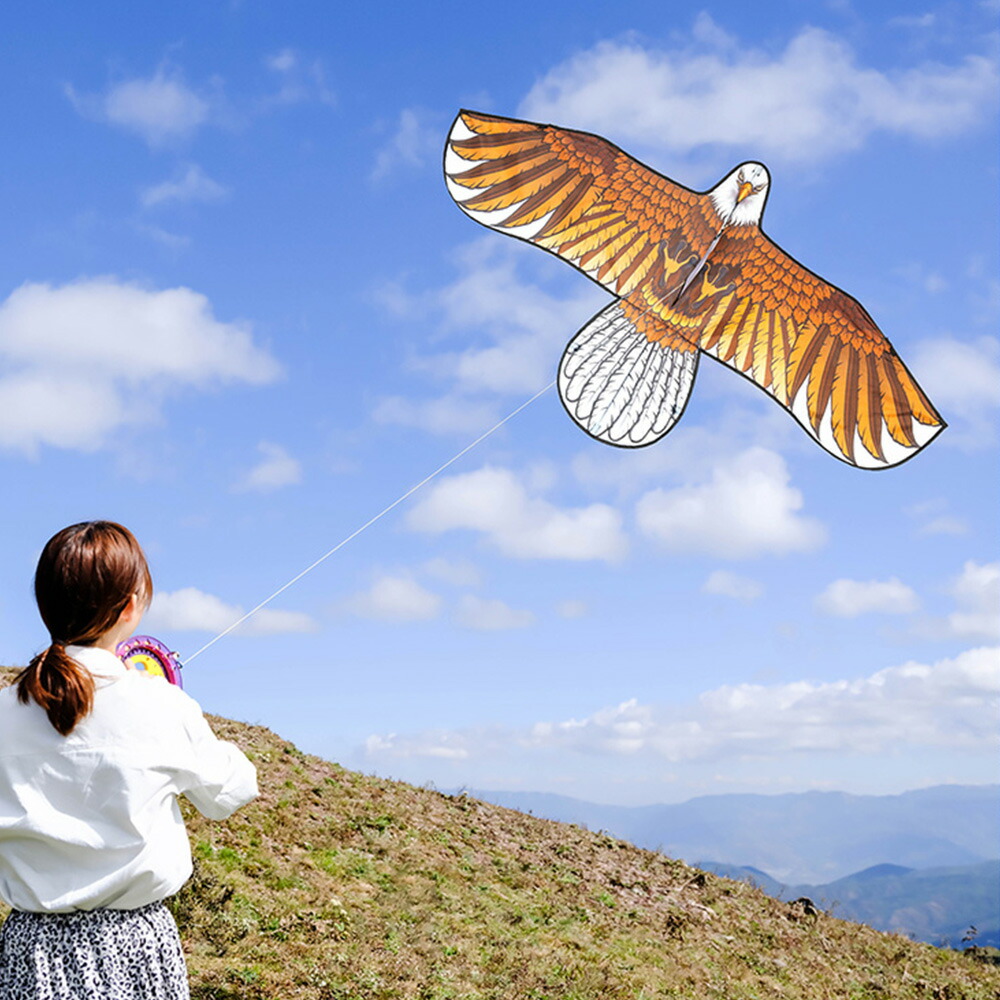 楽天市場】カイト 凧 凧揚げ シングルカイト バイオカイト 子供 大人と