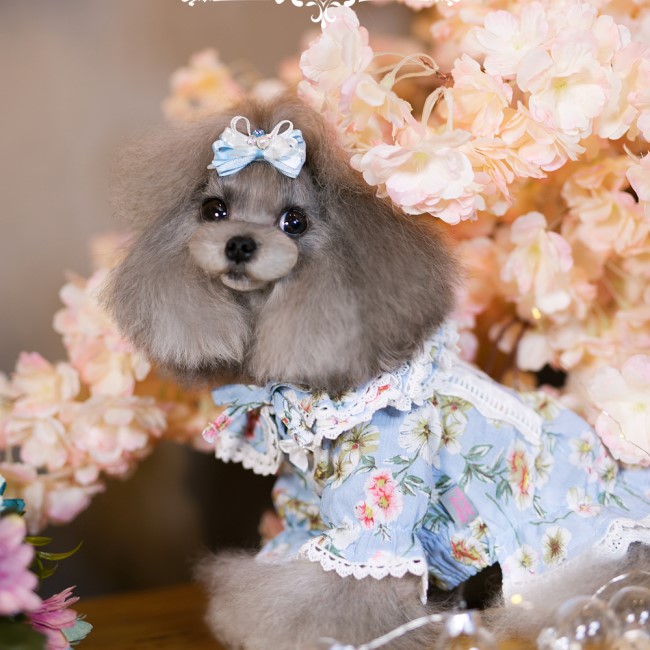 ハンドメイド犬服小花柄ニットのヒラヒラお袖キャミワンピお袖2段レース付