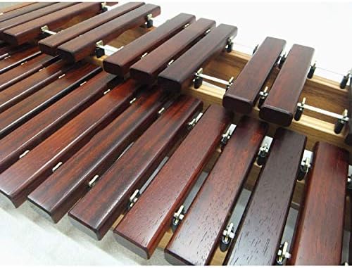 楽天市場】プレゼントに人気： 卓上木琴(シロフォン) コオロギ ECO32