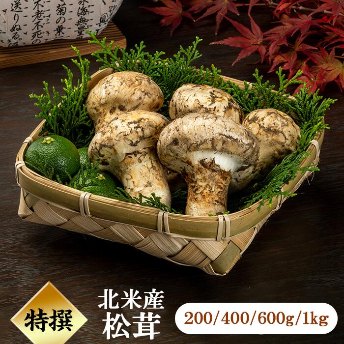 松茸 北海道 700g 訳あり ④ 松茸 北海道 700g 訳あり 送料込