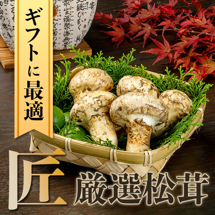 松茸 北海道 500g 訳あり ⑥ 国産 北海道 松茸 500g 訳あり 【公式通販】