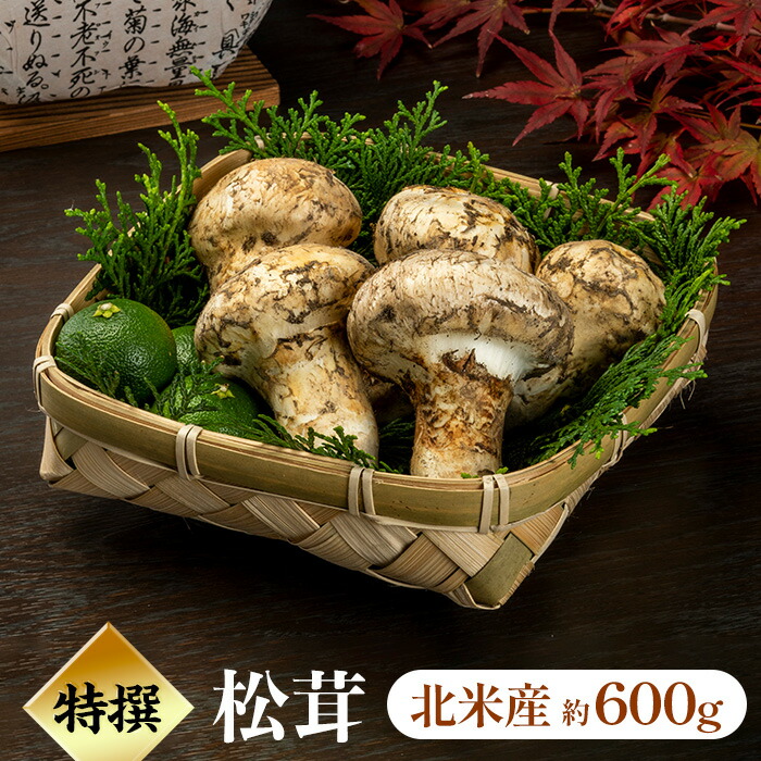 松茸 北海道 600g 訳あり ① 国産 松茸 北海道 600g 訳あり ③ 国産 訳