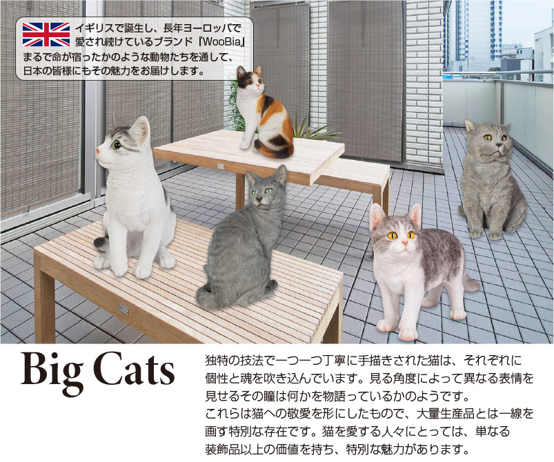 楽天市場】振り返る三毛猫 21.5 x 15 x 26.3cm (幅x奥x高) 本物