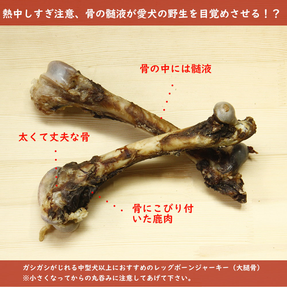 楽天市場】【送料無料 無添加 低アレルゲン 国産】レッグボーン