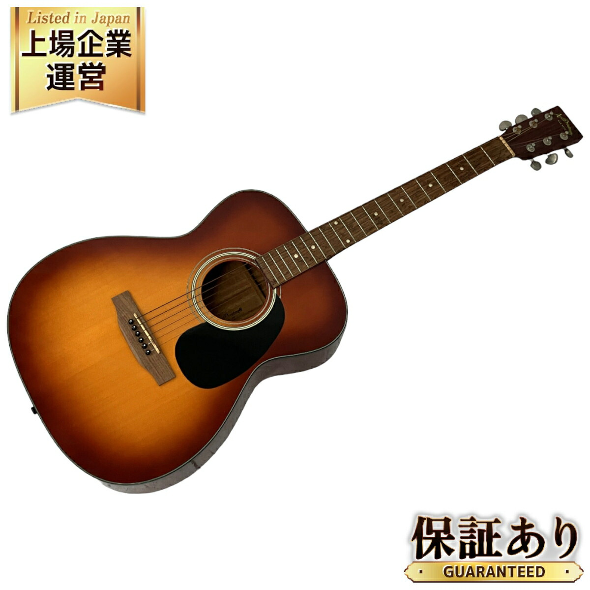 アコースティックギター Aria Dreadnought EST.1956