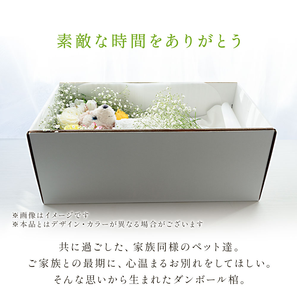 楽天市場】【ペット用ダンボール棺『やすらぎ』】 特大サイズ 大型動物