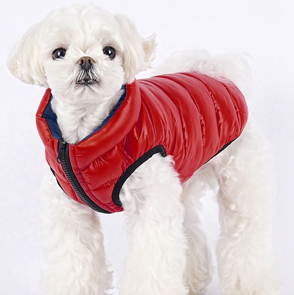 楽天市場】【20%OFFクーポン】ペット 秋冬綿服 犬服 ダウンジャケット