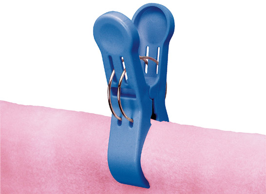 楽天市場】ML2 厚物用ピンチ2P ブルー【2個入】 : 快適ザッカラボ