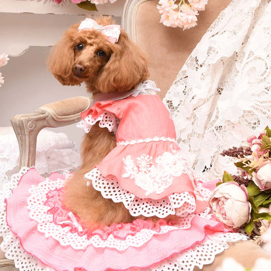 楽天市場】リュクスバーディの通販