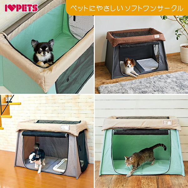 楽天市場】【LINE追加で500円OFF！】ボンビアルコン ソフトワン