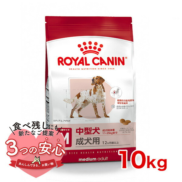 2個セットROYAL CANIN ミニ インドア アダルト 10kg ロイヤルカナン