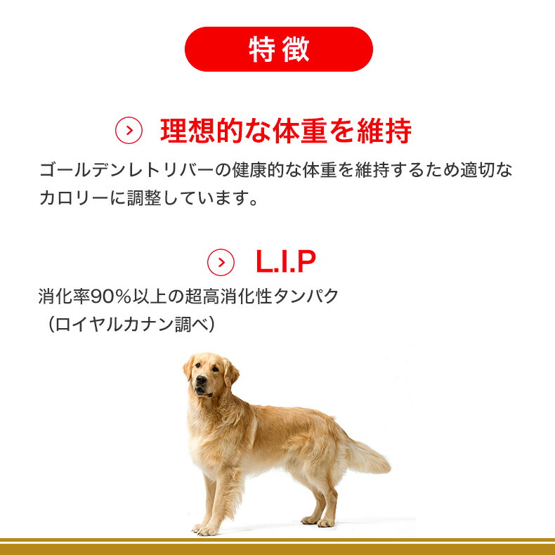 楽天市場】【LINE追加で500円OFF！】【お得な2個セット】ロイヤル