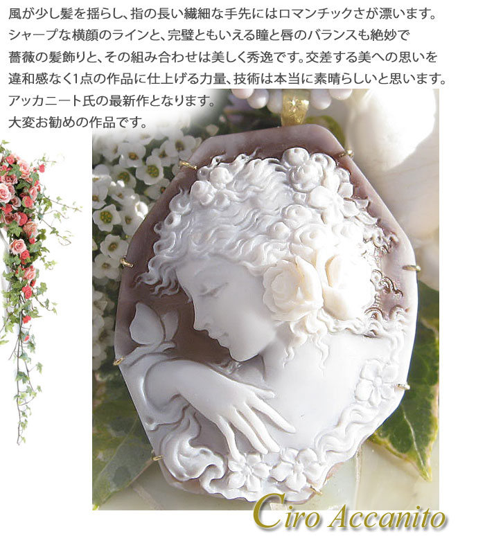 シェルカメオ チロソルヴィーノ ブローチ ペンダントトップ K18刻印 超