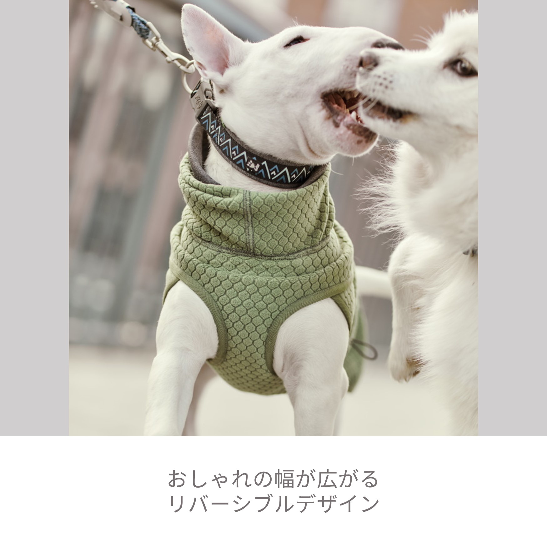 新品未使用 アトリエgg アトリエジジ ブルーデイズ インディゴ Wガーゼ