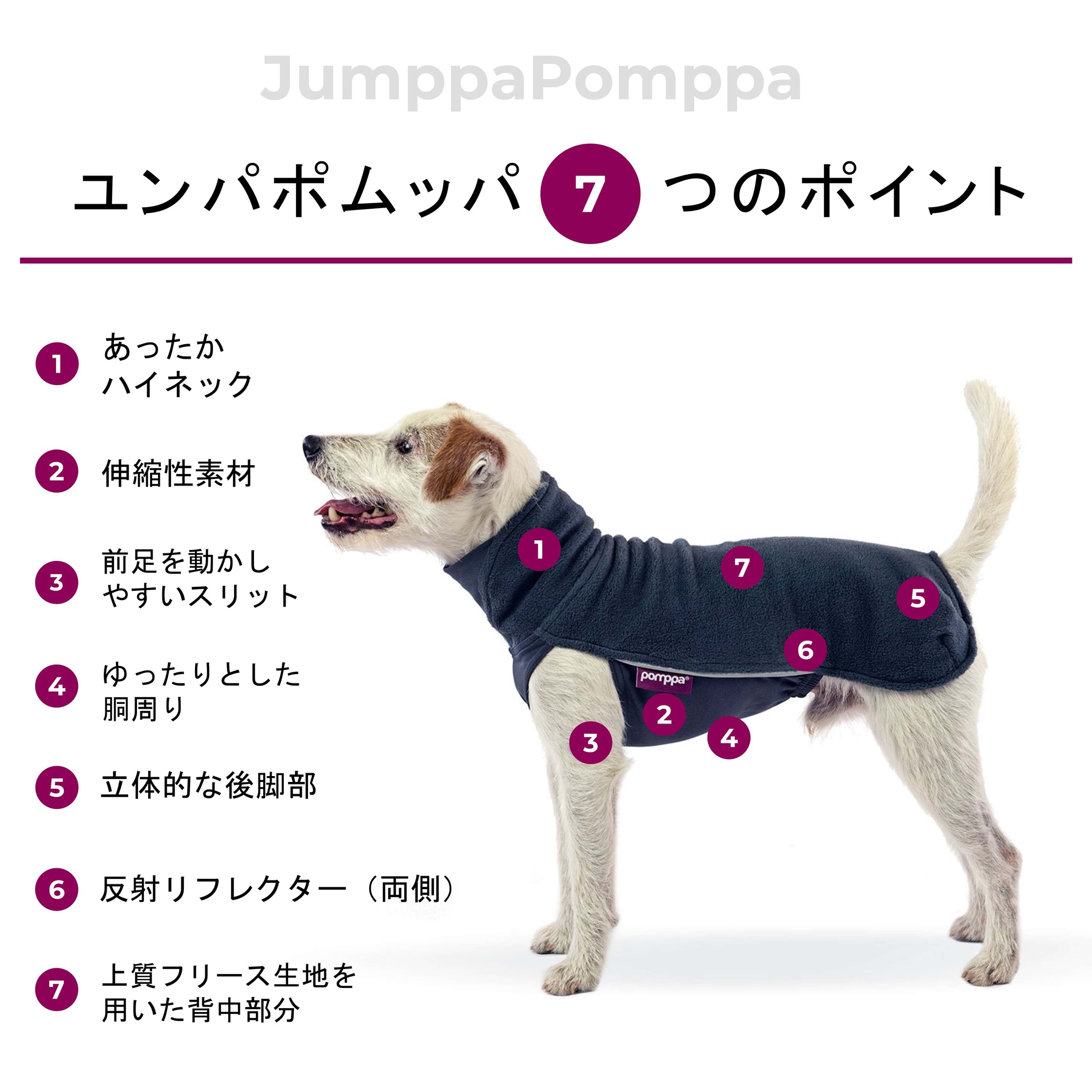 Pomppa(ポムッパ) ペルス ポムッパ グラファイト 犬用 65 オ
