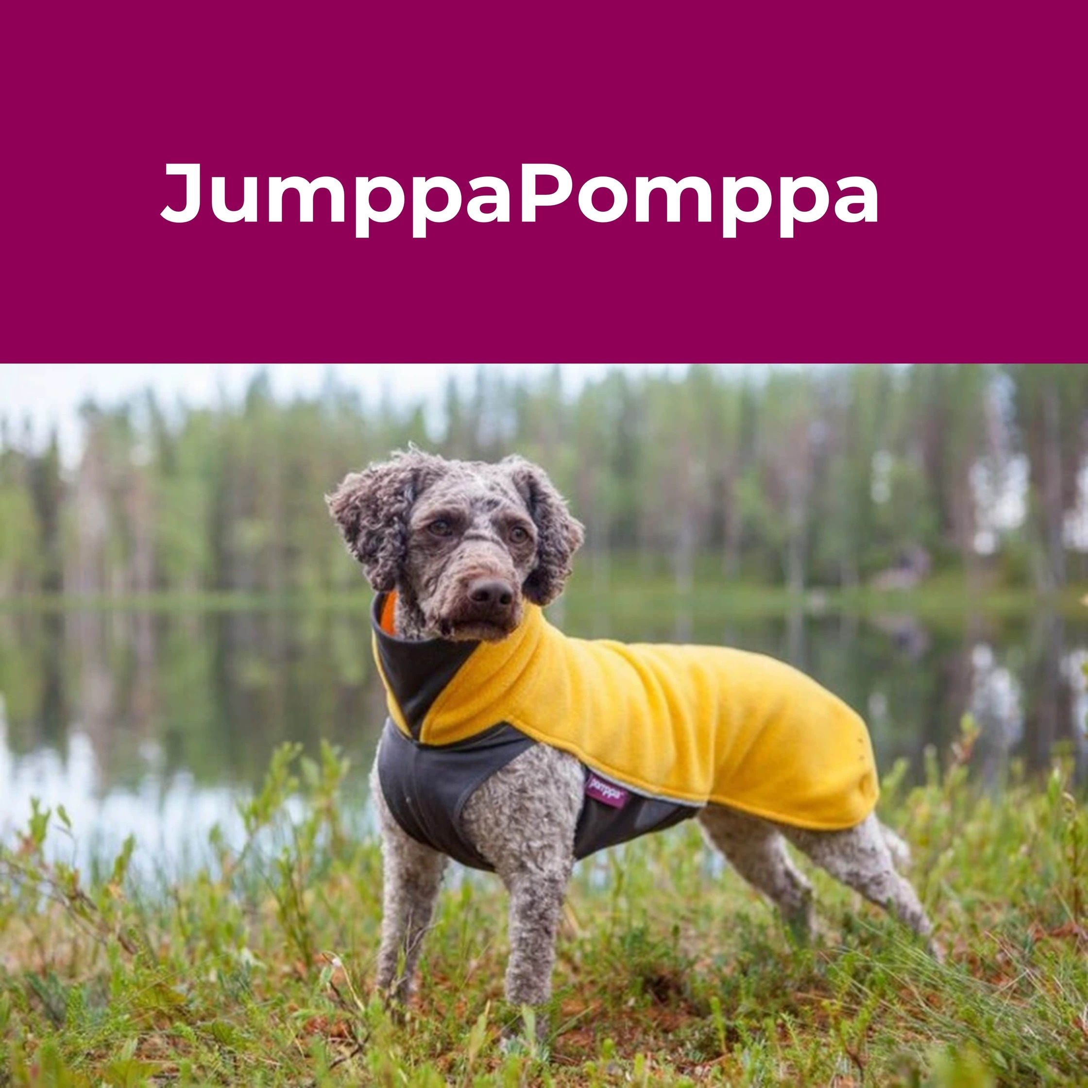 Pomppa(ポムッパ) ペルス ポムッパ グラファイト 犬用 65 オ