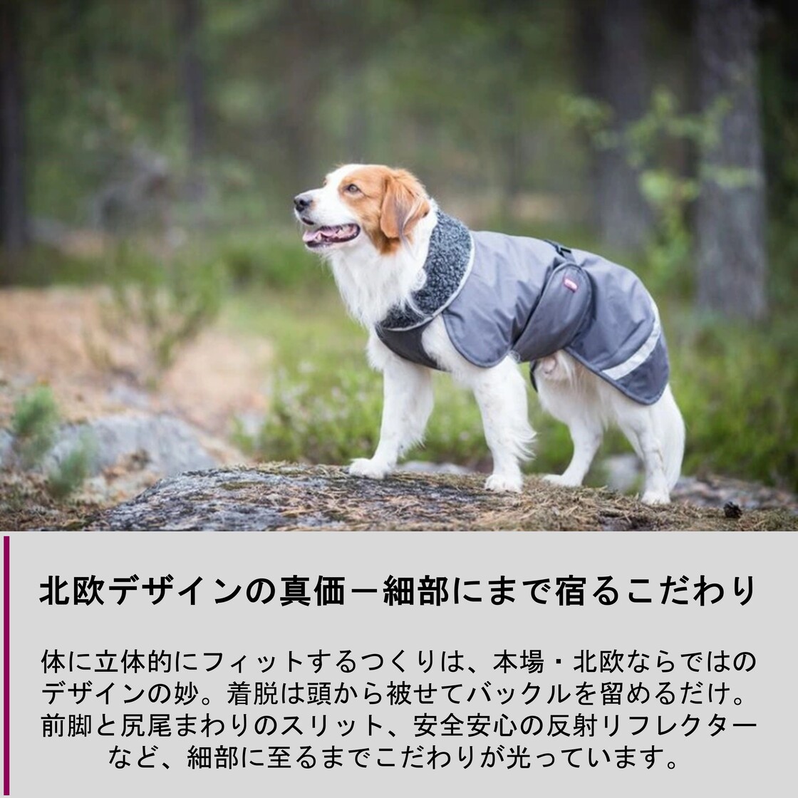 ふわふわゴージャスおめかしドレス♡ファーケープ付き♡ 犬服