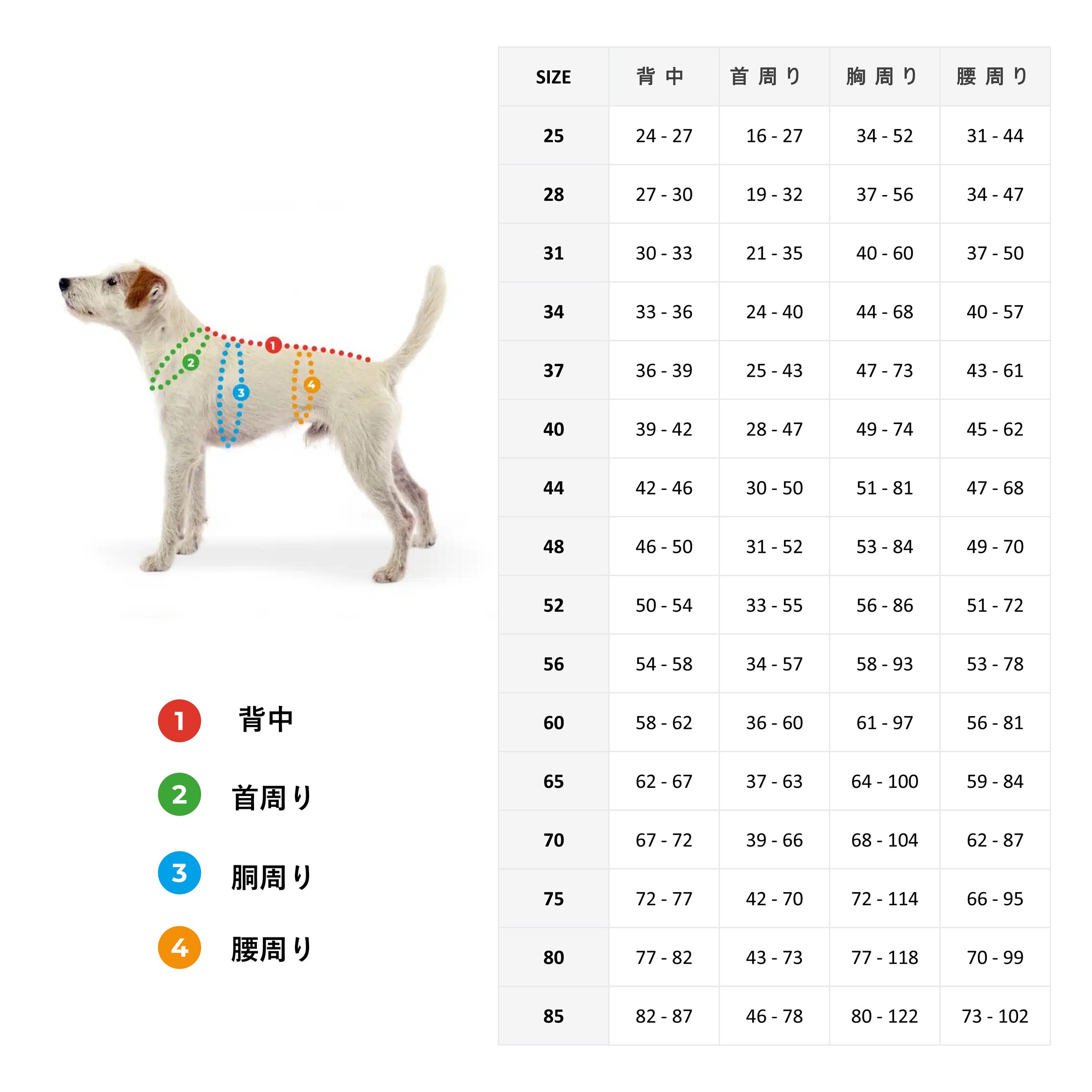 楽天市場】フィンランドのドッグブランド【Pomppa】【ポムッパ
