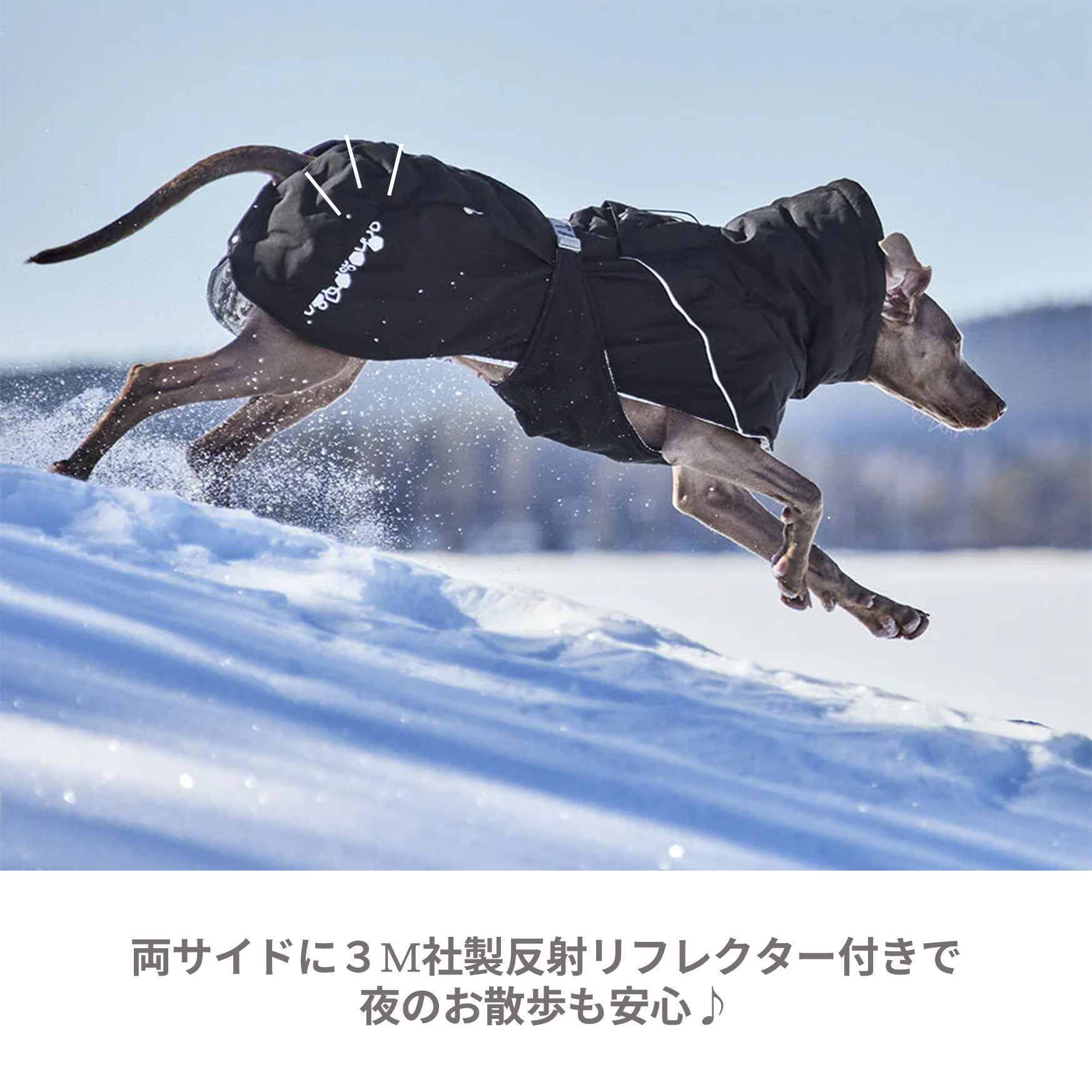 楽天市場】フィンランドのドッグブランド【Hurtta】【フルッタ