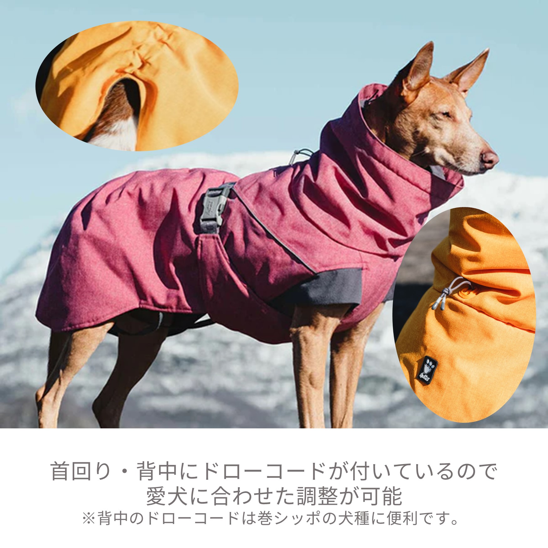 楽天市場】フィンランドのドッグブランド【Hurtta】【フルッタ