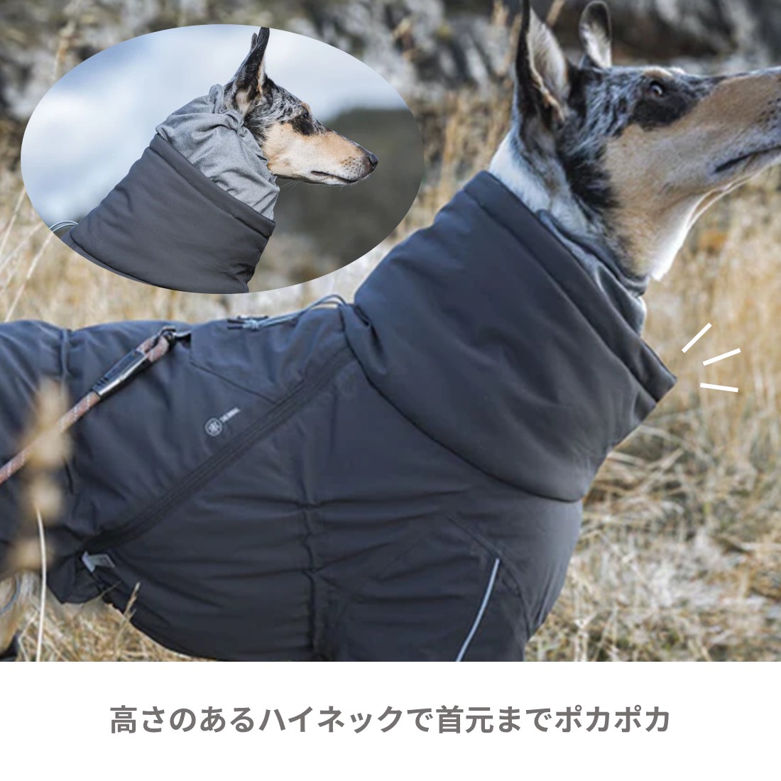 楽天市場】フィンランドのドッグブランド【Hurtta】【フルッタ