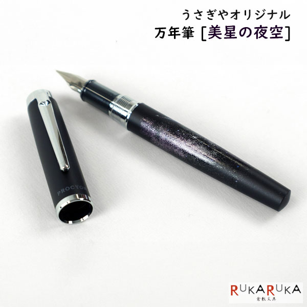 楽天市場】うさぎやオリジナル 万年筆 プロシオン ”美星の夜空” [ペン