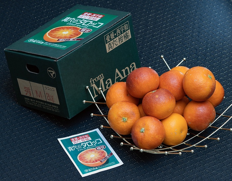 池本ゆたか農園『完熟ブラッドオレンジ（タロッコ種）』愛媛県興居島産