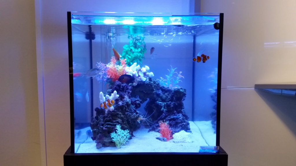 熱帯魚水槽には蛍光灯かLEDか！？アクアリウム照明の選び方