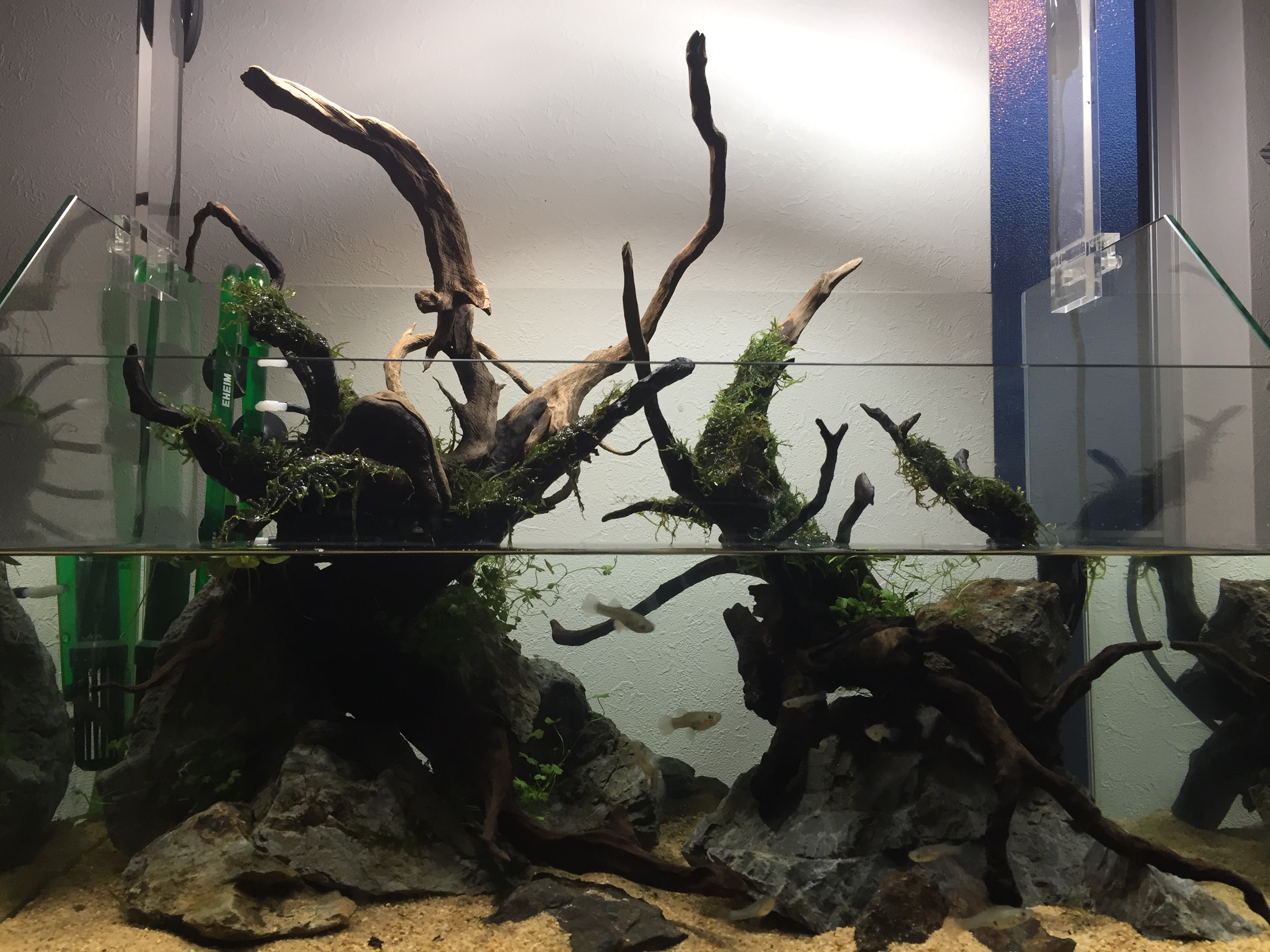 画像で解説!】アクアテラリウム制作を始めるまでの準備や必要機材とは