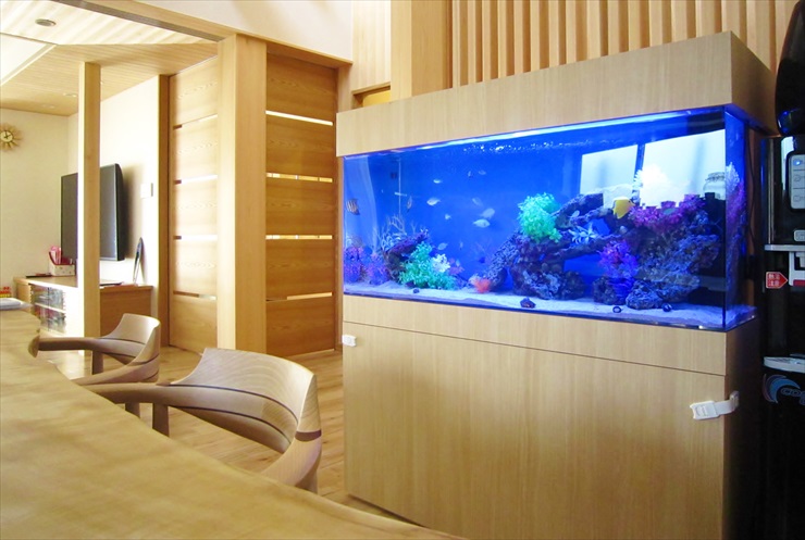 安くて丈夫な水槽台 おすすめメーカー設置事例｜アクアリウム情報