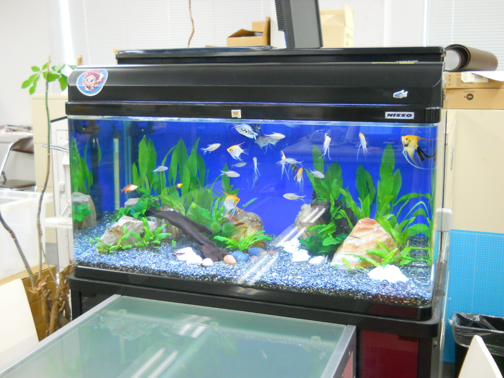 おまとめ特価】熱帯魚 水槽 90cm ライト 上部フィルター セット