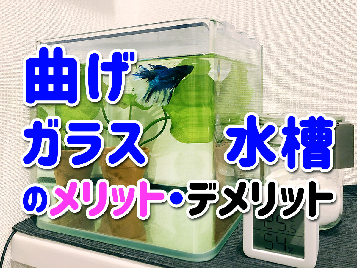 コトブキ工芸 【愛知県手渡】90/45/45cmガラス水槽 コトブキレグラス